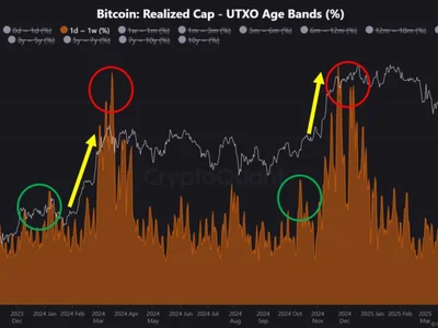 Bitcoin Flashing Pre-Rally Signals Seen Before Major 2024 Breakouts, Analyst Says - major, one, NewsBTC, time, btc, 2024, Crypto, bitcoin, term