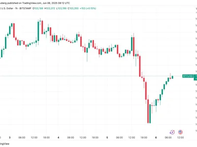 Bitcoin gets sub-$100K price targets with RSI ’a week away’ from new lows - ath, bitcoin, Crypto, musk, trump, Cointelegraph, key, donald trump, alan
