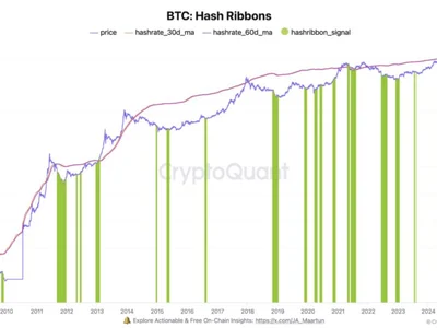 Bitcoin Hash Ribbons Indicating Prime Buying Opportunity, Analyst Says - one, hash, Crypto, bitcoin, btc, fibonacci, term, NewsBTC