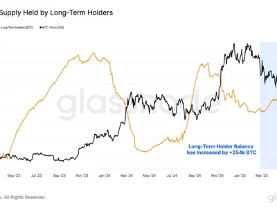 Bitcoin HODLer Selling Expected Around This Level, Report Says - bitcoin, NewsBTC, long, Crypto, one, term, btc
