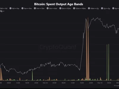 Bitcoin Holders Reawaken—Large Transfers Follow $90K Recovery - bitcoin, donald trump, Crypto, solana, crypto, ada, xrp, NewsBTC