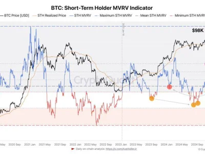 Bitcoin Indicator Signals Short-Term Holders Have Been Taking Profits – Is The Next Rally Near? - NewsBTC, Crypto, bitcoin, meme, term