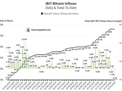 Bitcoin investors pull $333M from BlackRock IBIT ETF in record outflow - eth, gbtc, second, ibit, 2024, etf, million, Cointelegraph, solana, Crypto, spot, bitcoin