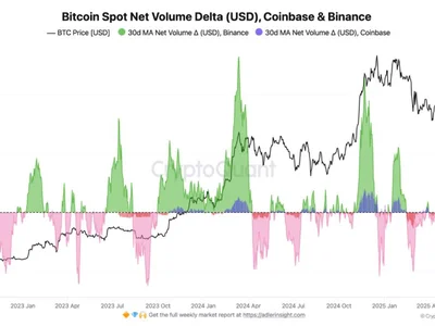 Bitcoin Market Update: Spot Demand Climbs As Short-Term Profits Lose Steam - NewsBTC, bitcoin, spot, term, chart, Crypto
