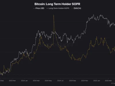 Bitcoin Near ATH, But Long-Term Holders Aren’t Selling – More Upside Ahead? - long, NewsBTC, btc, Crypto, ath, bitcoin, term