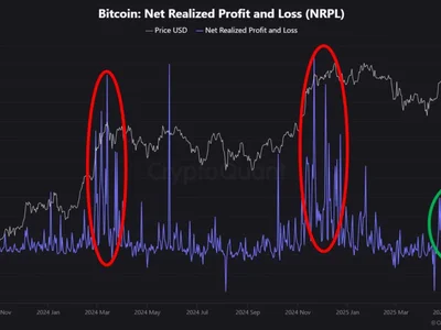 Bitcoin Nears All-Time High as Whale Behavior Suggests Further Upside - whales, Crypto, dan, chart, bitcoin, NewsBTC