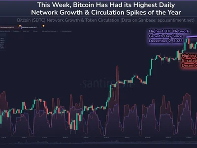 Bitcoin Network Activity Booming Despite A Quiet Market—Data - Crypto, new, NewsBTC, bitcoin