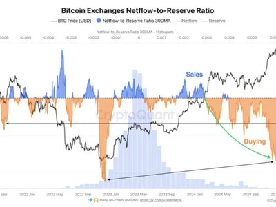 Bitcoin Outflows Signal Bullish Strength As Demand Remains High At $100K – What This Means - NewsBTC, bitcoin, key, 2024, strong, btc, ath, Crypto