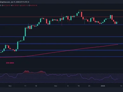 Bitcoin Price Analysis: BTC Could Challenge $100K Again If This Support Holds - level, CryptoPotato, Crypto, chart