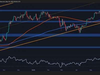 Bitcoin Price Analysis: BTC Displays Signs of Weakness Following New All-Time High - CryptoPotato, bitcoin, higher, term, high, Crypto