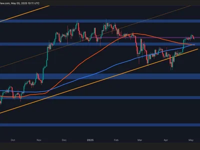 Bitcoin Price Analysis: BTC’s Bullish Momentum Remains Despite Rejection at $98K - CryptoPotato, Crypto, bitcoin