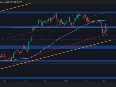 Bitcoin Price Analysis: Caution Flags as BTC Tests $90K - CryptoPotato, trump, Crypto, bitcoin, btc, fibonacci, one