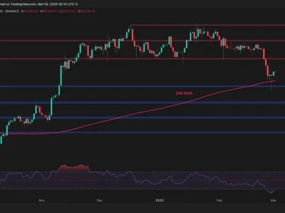 Bitcoin Price Analysis: Has BTC Found Strong Support After the Recent Sell-Off? - btc, Crypto, CryptoPotato, chart, one, bitcoin