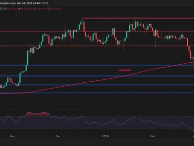 Bitcoin Price Analysis: This Key Level Holds the Fate of BTC’s Bull Run - level, bitcoin, CryptoPotato, chart, Crypto