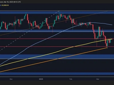 Bitcoin Price Analysis: This Key Resistance Could Prevent BTC’s Surge to $90K - CryptoPotato, Crypto, bitcoin, term, fibonacci, level