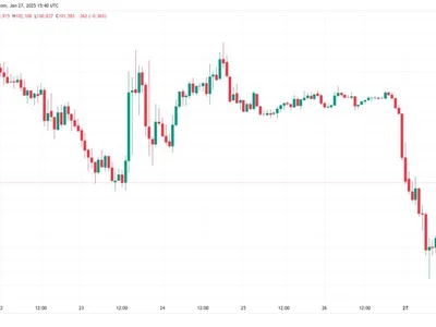 Bitcoin price bounces 5%, cancels DeepSeek stocks dive as $102K returns - Cointelegraph, trump, six, jan, Crypto, crypto, bitcoin, btc