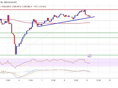 Bitcoin Price Bounces Past 105K: Is a Full-Blown Rally Back on the Cards? - Crypto, NewsBTC, bitcoin, btc