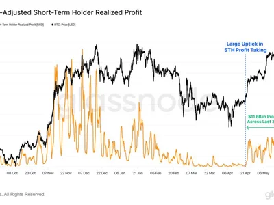 Bitcoin price ‘breather’ expected as short-term traders realize $11.6B in profit - honey, donald trump, Cointelegraph, bitcoin, Crypto