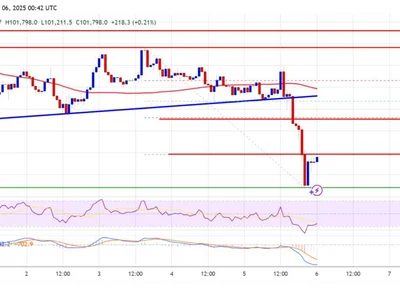 Bitcoin Price Dips Sharply Below $102K as Profit-Taking Accelerates - zone, bitcoin, Crypto, btc, NewsBTC, level
