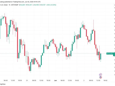 Bitcoin price dips under $104K as Russia-Ukraine woes rile US stocks - donald trump, Cointelegraph, 2024, Crypto, trump, key, bitcoin