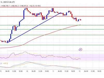 Bitcoin Price Fails at $110K—Is the Rally Running Out of Steam? - Crypto, btc, bitcoin, NewsBTC