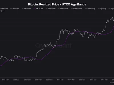 Bitcoin Price Holds Above $96,000 — Analyst Explains This Level’s Significance - Crypto, utxo, NewsBTC, bitcoin