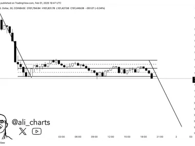 Bitcoin Price Is Trading In This Bearish Flag — What’s The Downside Target? - flag, NewsBTC, bitcoin, Crypto