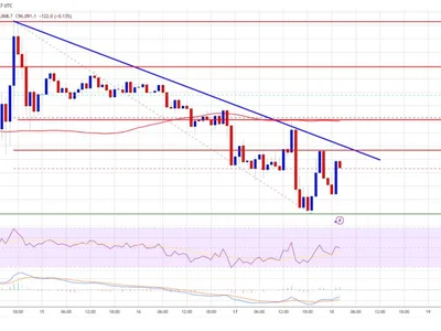 Bitcoin Price Pulls Back to Support—Breakdown or Bounce Ahead? - NewsBTC, level, Crypto, bitcoin