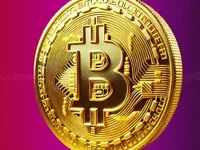 Bitcoin Price Reaches New High: How the US Election and Fed Rate Cut Boosted Crypto - second, crypto, cut, bitcoin, 2024