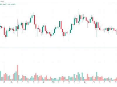 Bitcoin price risks correction to $72K as investor sentiment weakens - nexo, Cointelegraph, bitcoin, Crypto, crypto