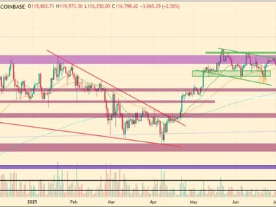 Bitcoin Price Slips Over 5% After Hitting New All-Time High - bitcoin, Coinpedia, term, crypto, long, Crypto