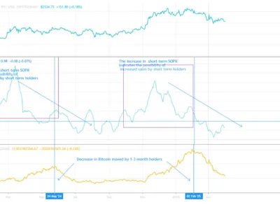 Bitcoin Price Struggling but Short-Term Holders Might Be Setting the Stage for $150K - bitcoin, NewsBTC, chart, Crypto, term, one