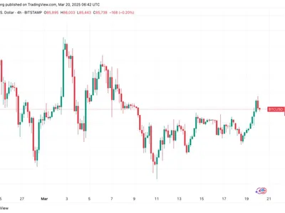  Bitcoin price tags 2-week highs as markets bet big on Trump crypto news  - Cointelegraph, bitcoin, Crypto, crypto, bitmex, trump, qe, jay