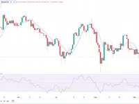 Bitcoin Price Today: After 118% Surge, What’s Next for BTC Price in 2024? - 2024, btc, bitcoin