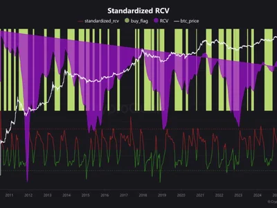 Bitcoin Rally Stalls at $108K as Key Risk Metric Flashes Red, Is Correction Looming? - one, chart, Crypto, NewsBTC, bitcoin