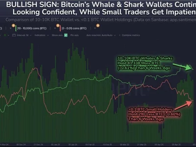 Bitcoin Rebounds After Sharp Drop As Whales Fuel Push Toward $100K - six, Crypto, btc, NewsBTC, bitcoin, may