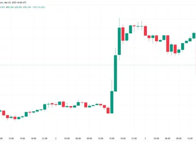 Bitcoin returns under $90K as crypto market liquidates $150M in hours - one, bitcoin, trump, Cointelegraph, vix, crypto, donald trump, Crypto