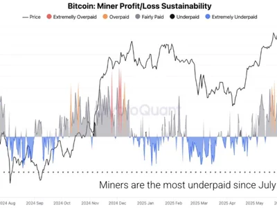  Bitcoin ‘Satoshi-era’ miners sold just 150 BTC in 2025 amid all-time highs  - Cointelegraph, btc, era, 2024, Crypto, satoshi, miner, bitcoin, april