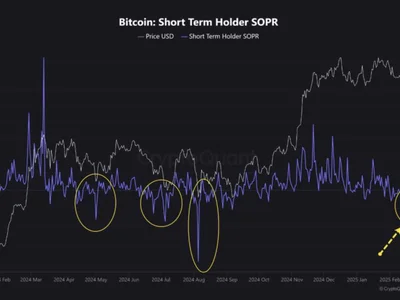 Bitcoin Sellers Incur Loss As SOPR Drops To 0.95 – A Sign Of Market Bottom? - btc, donald trump, NewsBTC, bitcoin, Crypto