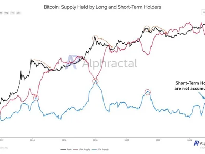 Bitcoin Short-Term Holders Are Distributing Again — Local Price Top Imminent? - btc, term, NewsBTC, bitcoin, Crypto