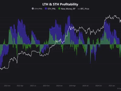 Bitcoin Shows Elevated Unrealized Profits Without Signs Of Panic Selling – New ATH Soon? - NewsBTC, one, btc, Crypto, high, ath, bitcoin