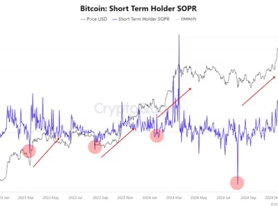 Bitcoin speculators panic sell at $92K in 'good time for accumulation' - btc, Crypto, Cointelegraph, bitcoin, term