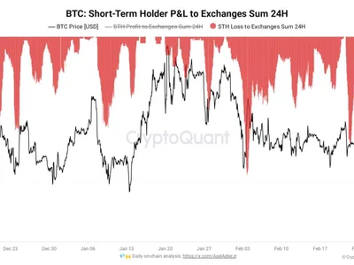 Bitcoin speculators sent $7B to exchanges at a loss in BTC price crash - Cointelegraph, Crypto, btc, one, bitcoin