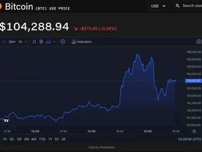 Bitcoin spiked to $106,000 before hopes for Sen. Cynthia Lummis’ teased announcement fell short - donald trump, sol, crypto, one, The Block, block, 2024, usdc, fox, xrp, payday, Crypto, bitcoin