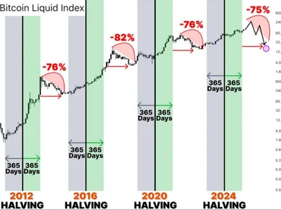 Bitcoin To Hit $180,000 In 2025? Analyst Highlights The Trigger - halving, Crypto, etf, NewsBTC, bitcoin, fomo