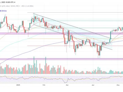 Bitcoin Treasury Firms Are This Cycle’s Bubble, Experts Warn - japan, NewsBTC, bitcoin, nav, Crypto, mstr, btc, gbtc