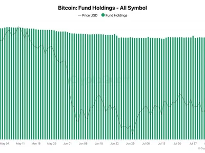 Bitcoin treasury trade ‘breaking’ and fund holdings drop 10%: Analysis