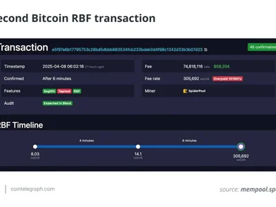Bitcoin user accidentally sent $60,000 in fees—Don’t make the same mistake - bch, second, bitcoin cash, one, bitcoin, rbf, byte, Crypto, Cointelegraph, satoshi nakamoto, utxo