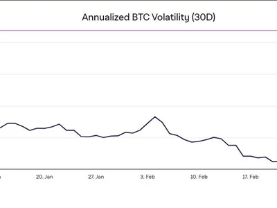 Bitcoin volatility cruising at highest levels all year despite Trump’s reserve plans - btc, donald trump, Crypto, trump, bitcoin, crypto, The Block