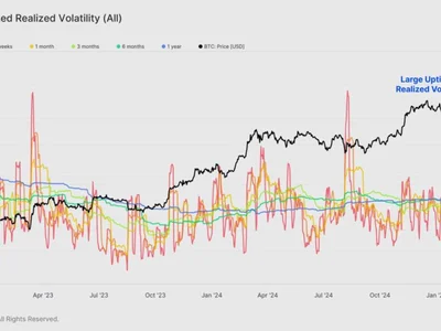 Bitcoin volatility soars amid US crypto reserve, tariff jitters - eth, data, solana, bitcoin, cardano, ada, Crypto, btc, Cointelegraph, one, xrp, donald trump, trump